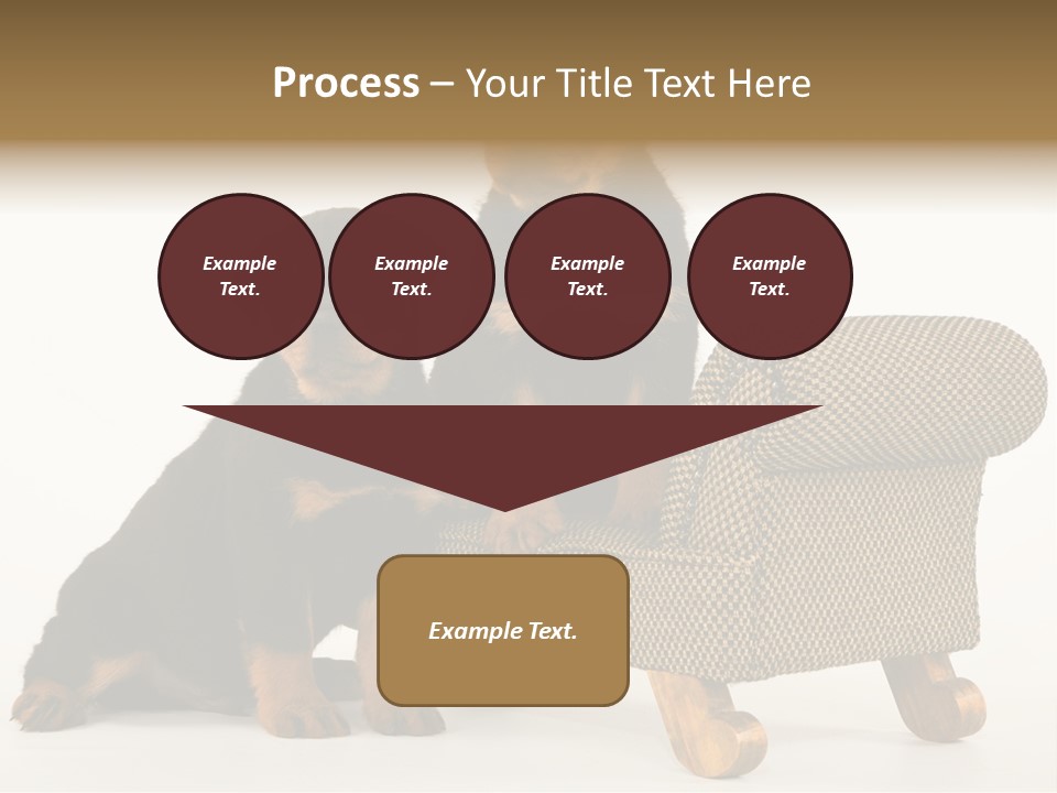Rott Couch Rottweil Butcher's Dogs PowerPoint Template