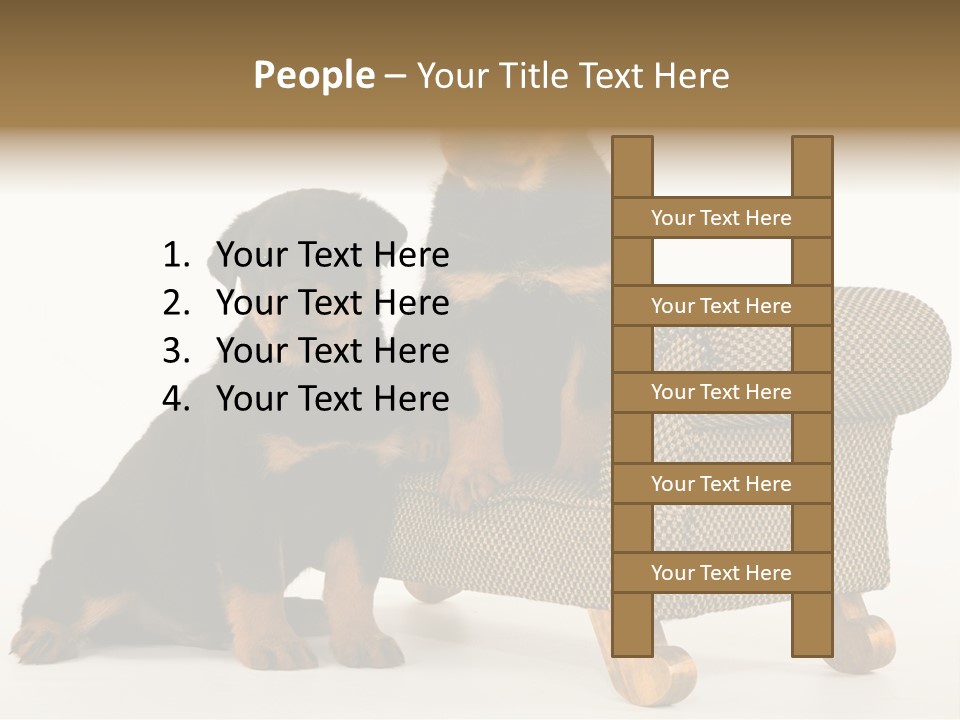 Rott Couch Rottweil Butcher's Dogs PowerPoint Template