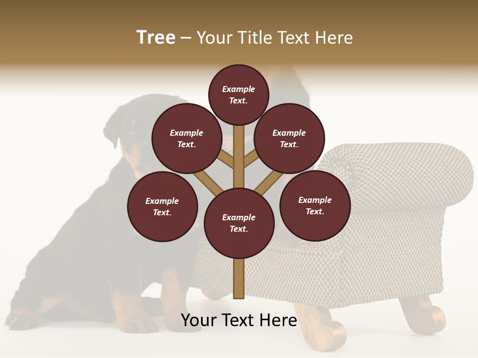 Rott Couch Rottweil Butcher's Dogs PowerPoint Template