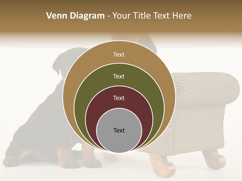 Rott Couch Rottweil Butcher's Dogs PowerPoint Template