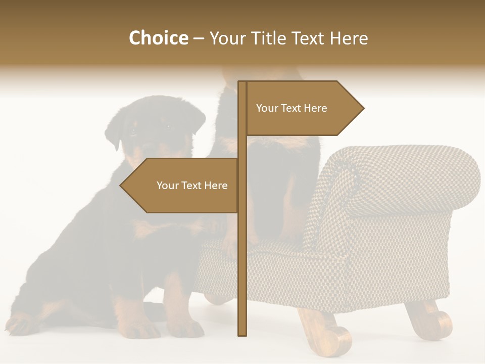 Rott Couch Rottweil Butcher's Dogs PowerPoint Template