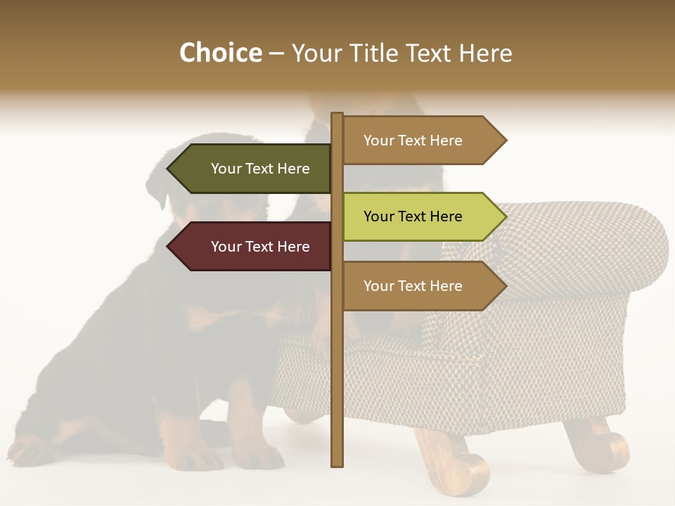 Rott Couch Rottweil Butcher's Dogs PowerPoint Template