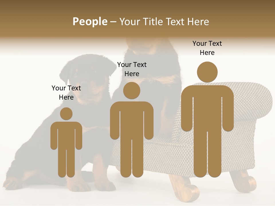 Rott Couch Rottweil Butcher's Dogs PowerPoint Template