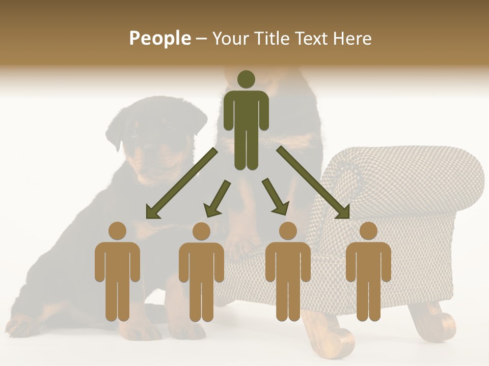 Rott Couch Rottweil Butcher's Dogs PowerPoint Template