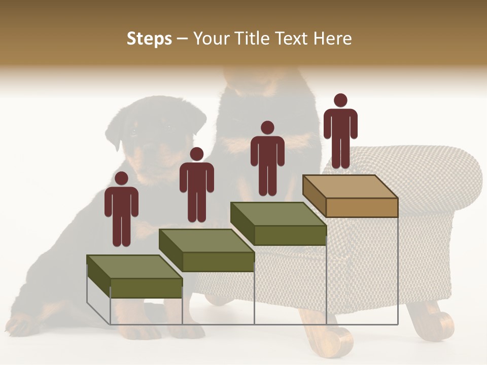 Rott Couch Rottweil Butcher's Dogs PowerPoint Template