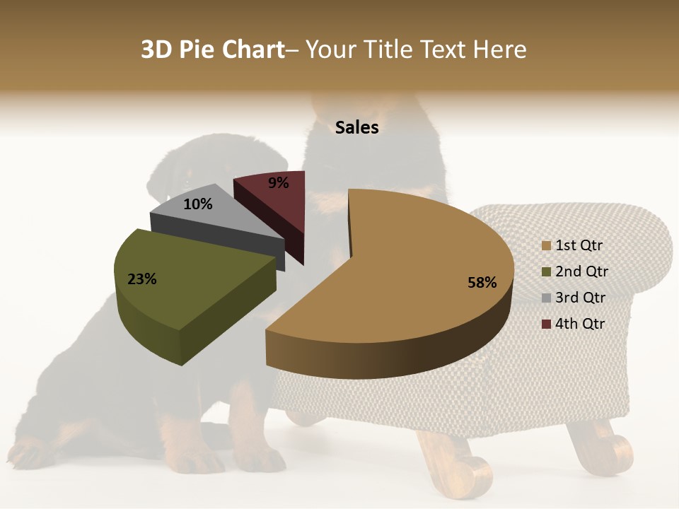 Rott Couch Rottweil Butcher's Dogs PowerPoint Template