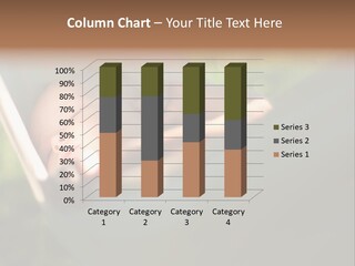 Tropical Bed Dream PowerPoint Template