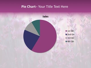 Fragrant Lilac Closeup PowerPoint Template