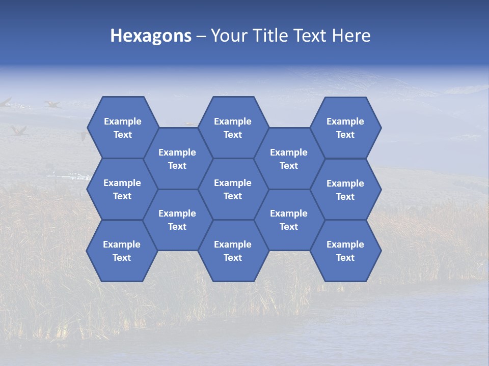 A Flock Of Birds Flying Over A Body Of Water PowerPoint Template