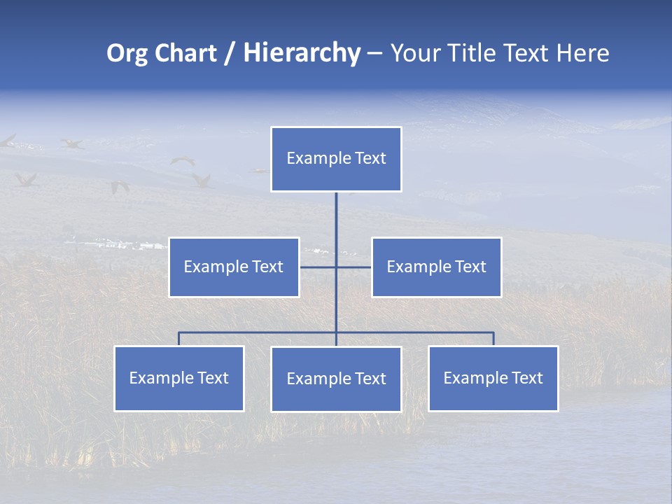 A Flock Of Birds Flying Over A Body Of Water PowerPoint Template