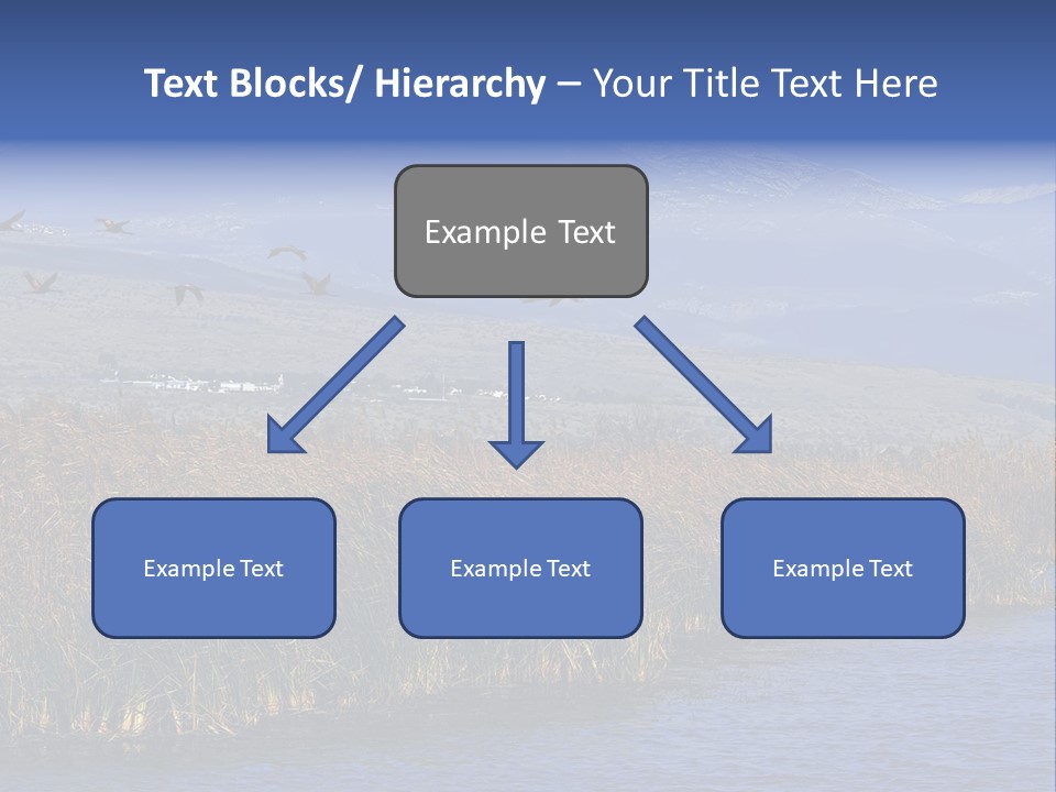 A Flock Of Birds Flying Over A Body Of Water PowerPoint Template