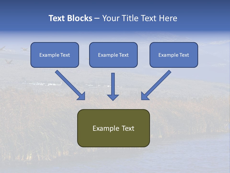 A Flock Of Birds Flying Over A Body Of Water PowerPoint Template
