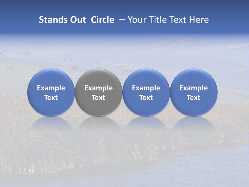 A Flock Of Birds Flying Over A Body Of Water PowerPoint Template