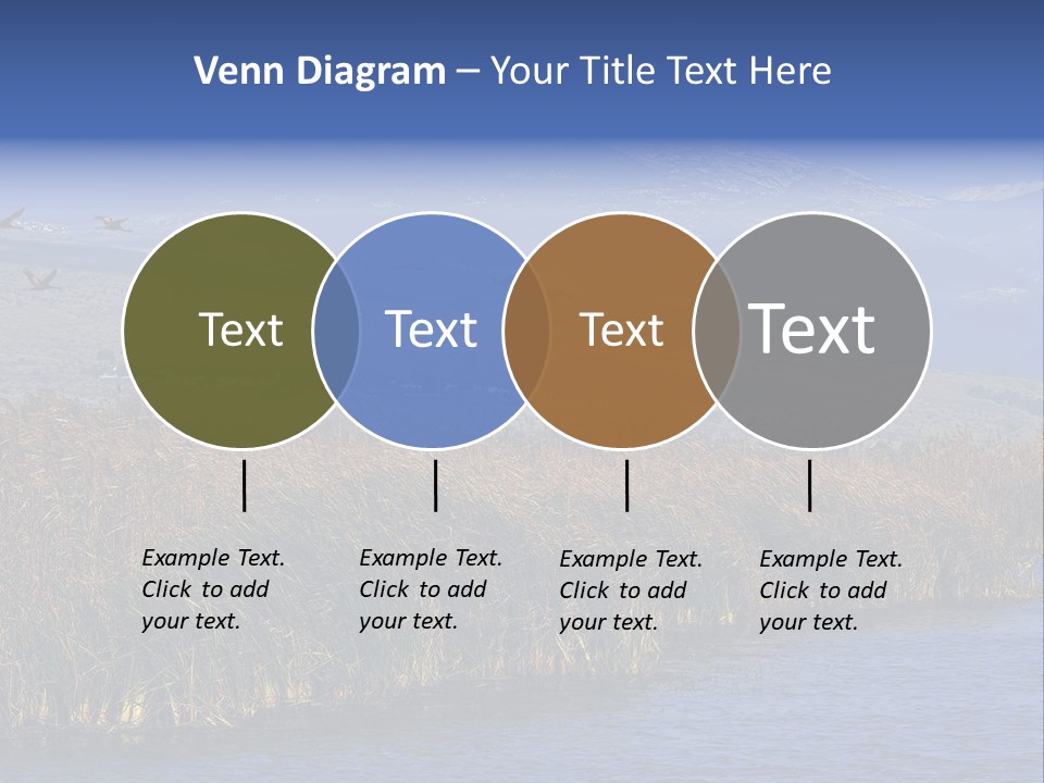 A Flock Of Birds Flying Over A Body Of Water PowerPoint Template