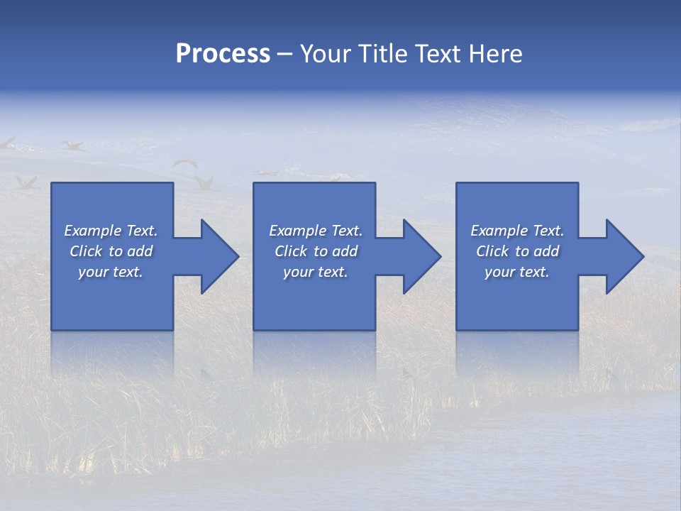 A Flock Of Birds Flying Over A Body Of Water PowerPoint Template