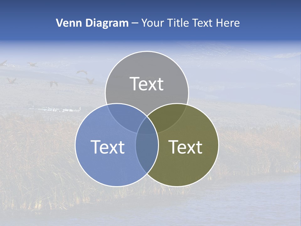 A Flock Of Birds Flying Over A Body Of Water PowerPoint Template