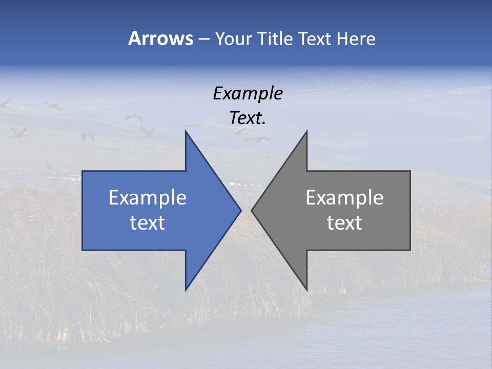 A Flock Of Birds Flying Over A Body Of Water PowerPoint Template