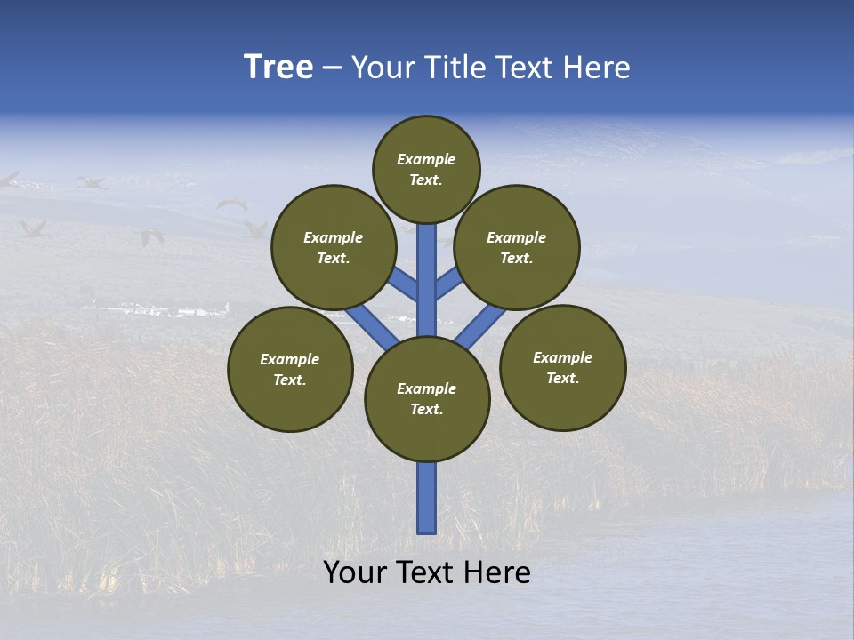 A Flock Of Birds Flying Over A Body Of Water PowerPoint Template