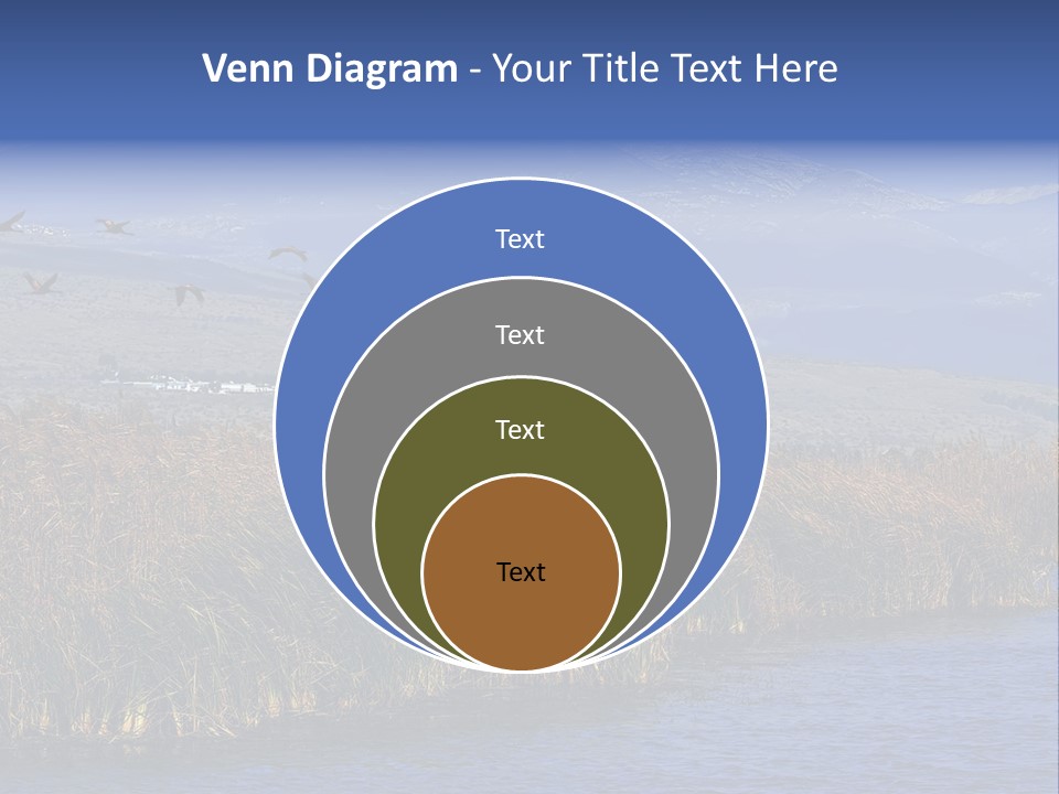 A Flock Of Birds Flying Over A Body Of Water PowerPoint Template