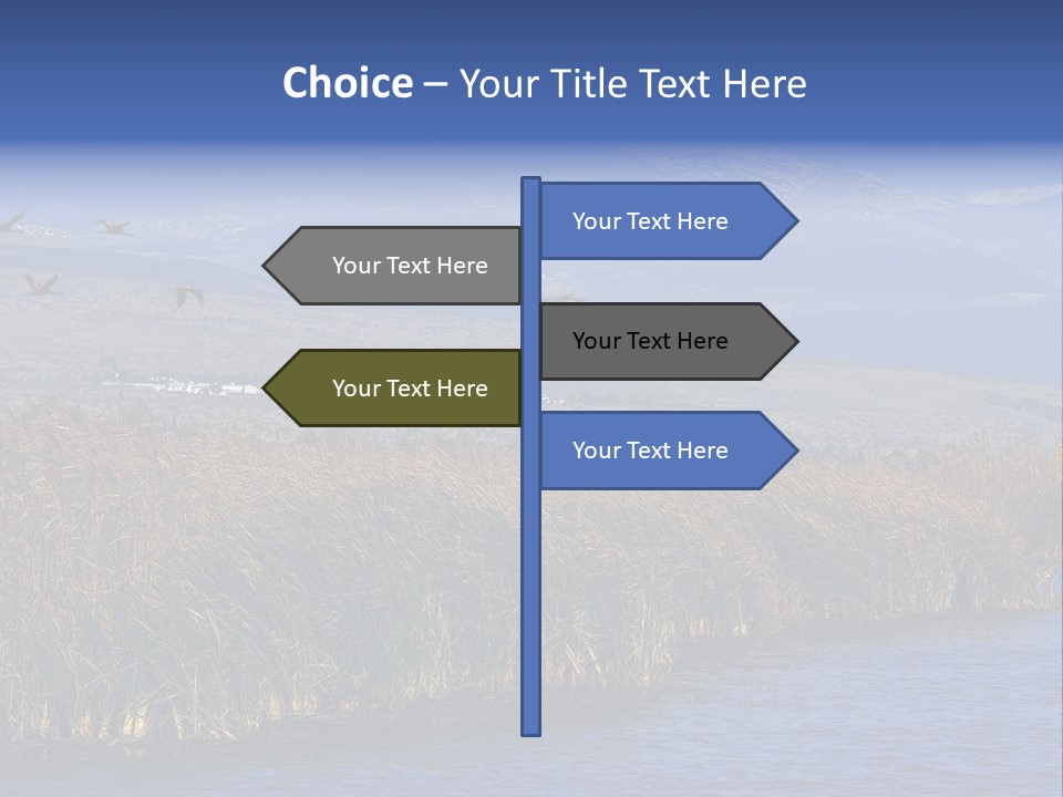 A Flock Of Birds Flying Over A Body Of Water PowerPoint Template