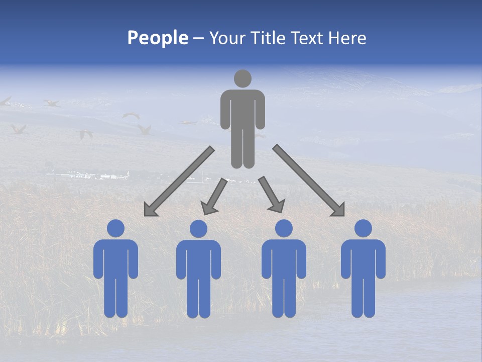 A Flock Of Birds Flying Over A Body Of Water PowerPoint Template