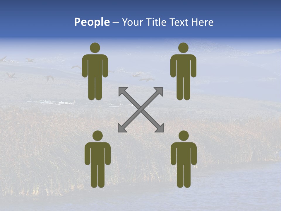 A Flock Of Birds Flying Over A Body Of Water PowerPoint Template