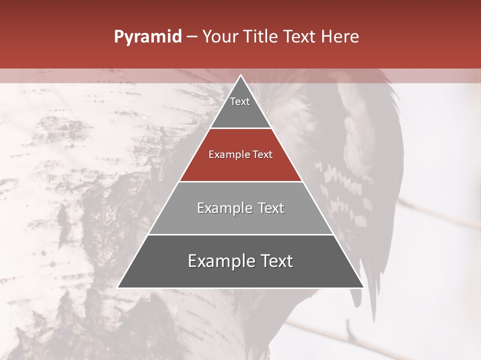 Habitat Major Outdoors PowerPoint Template