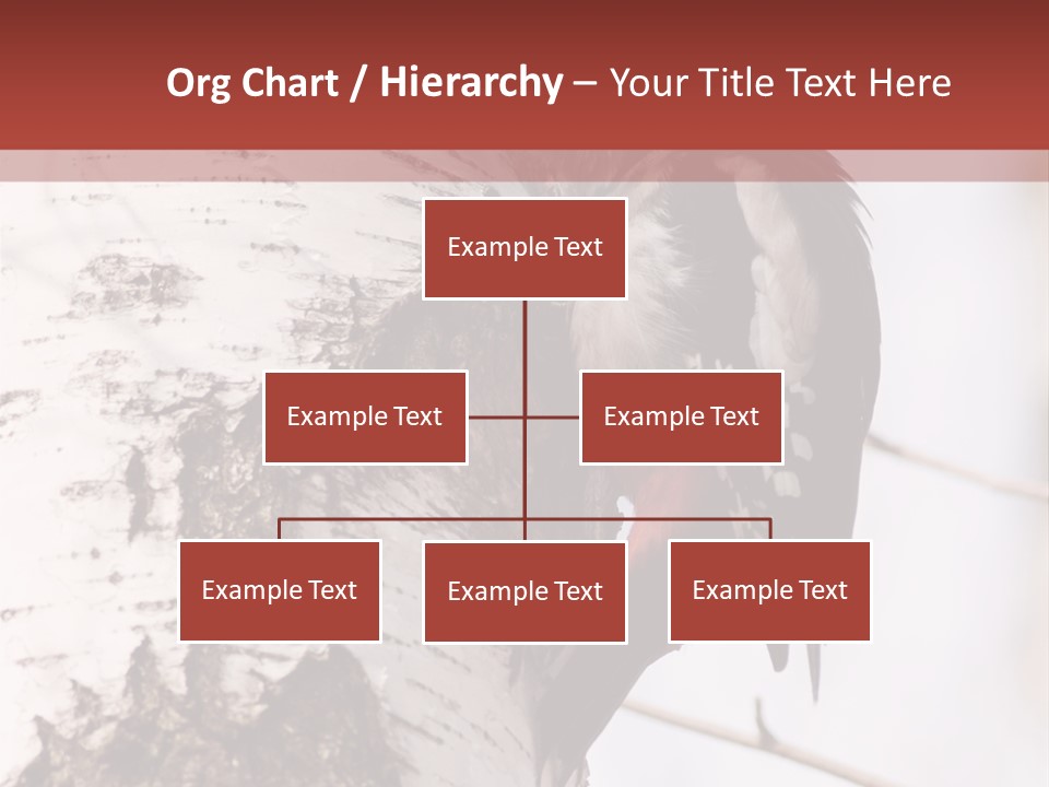 Habitat Major Outdoors PowerPoint Template