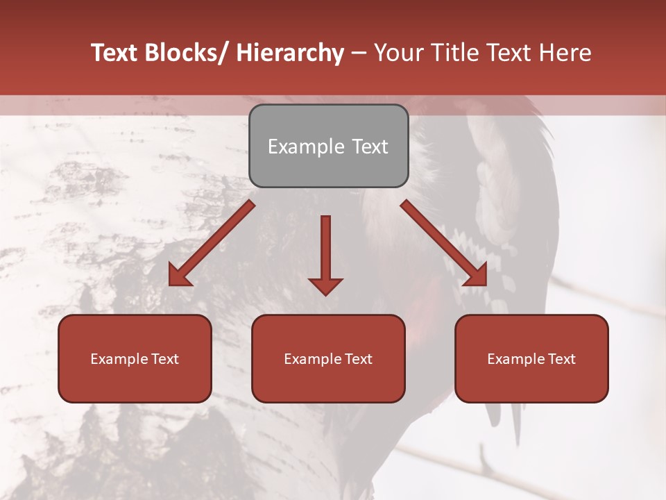 Habitat Major Outdoors PowerPoint Template