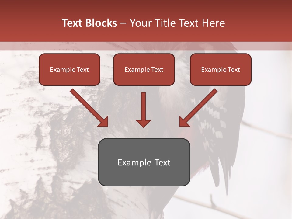 Habitat Major Outdoors PowerPoint Template