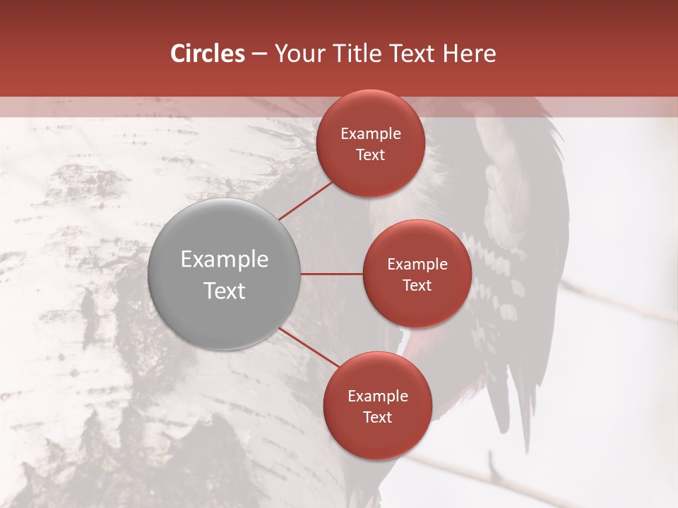 Habitat Major Outdoors PowerPoint Template