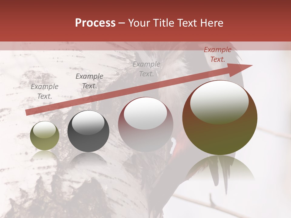 Habitat Major Outdoors PowerPoint Template