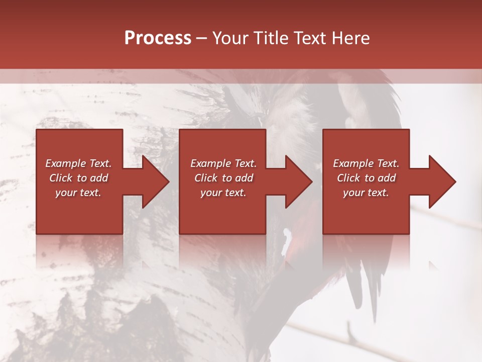 Habitat Major Outdoors PowerPoint Template