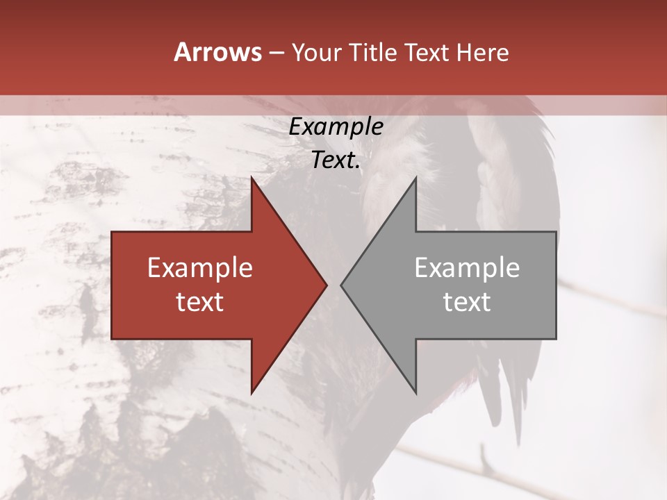 Habitat Major Outdoors PowerPoint Template