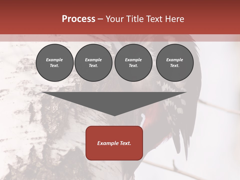 Habitat Major Outdoors PowerPoint Template