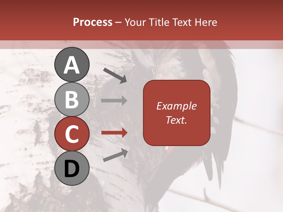 Habitat Major Outdoors PowerPoint Template