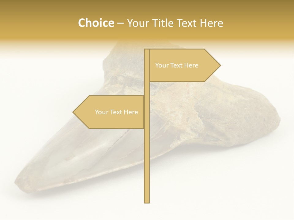 Predator Crown Background PowerPoint Template