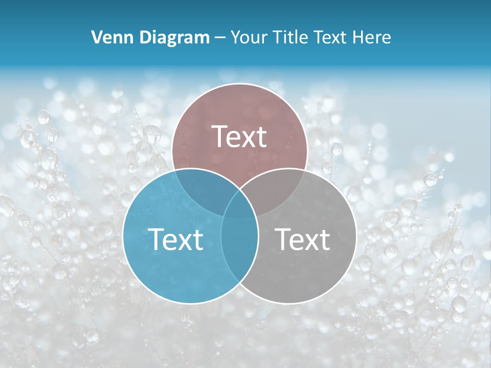 Fade Wither Violet PowerPoint Template