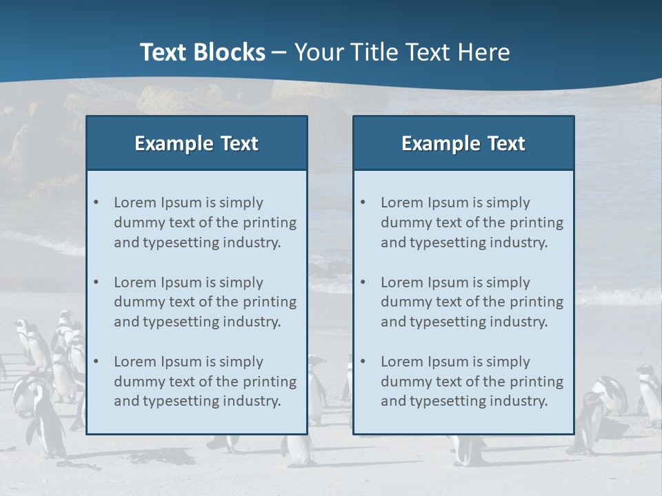 Swim Sun Sunrise PowerPoint Template