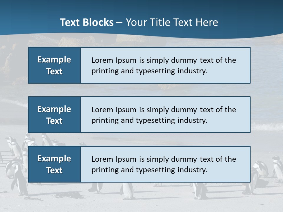Swim Sun Sunrise PowerPoint Template