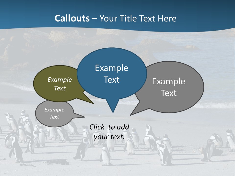 Swim Sun Sunrise PowerPoint Template