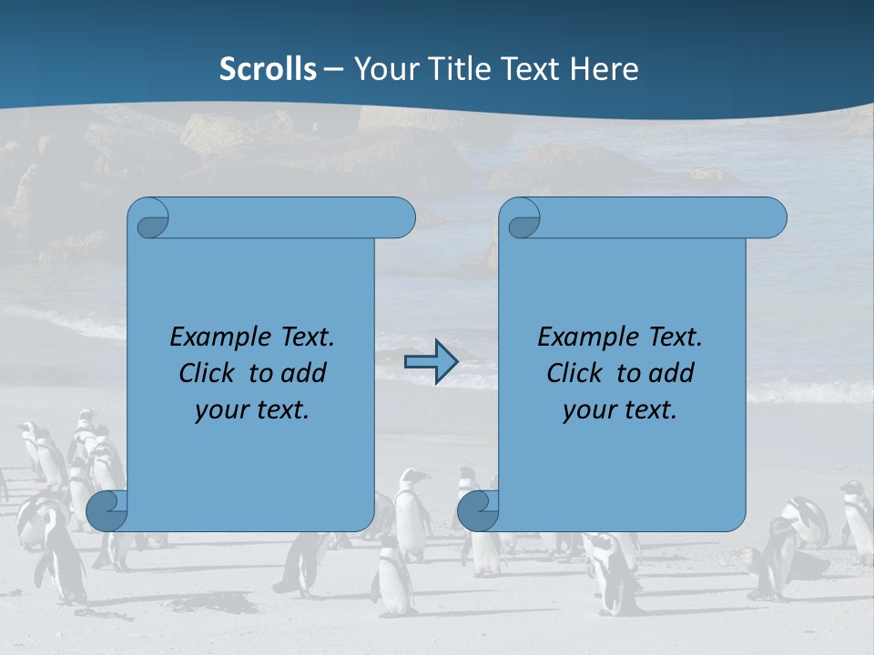 Swim Sun Sunrise PowerPoint Template