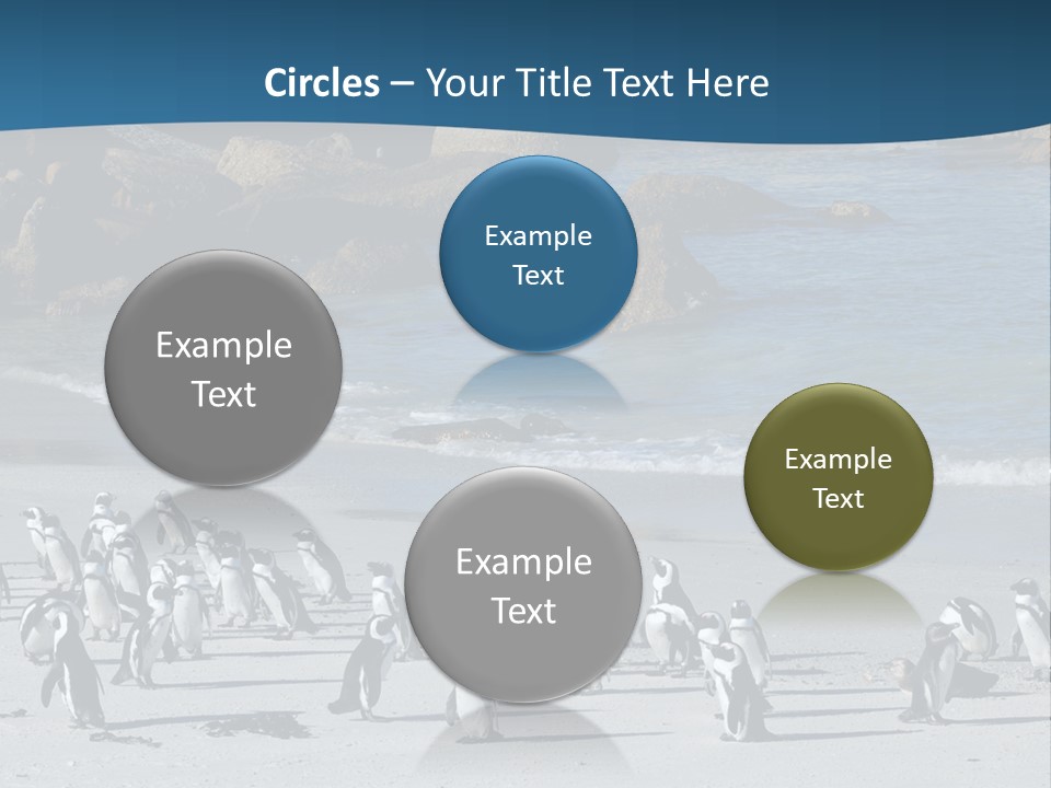 Swim Sun Sunrise PowerPoint Template