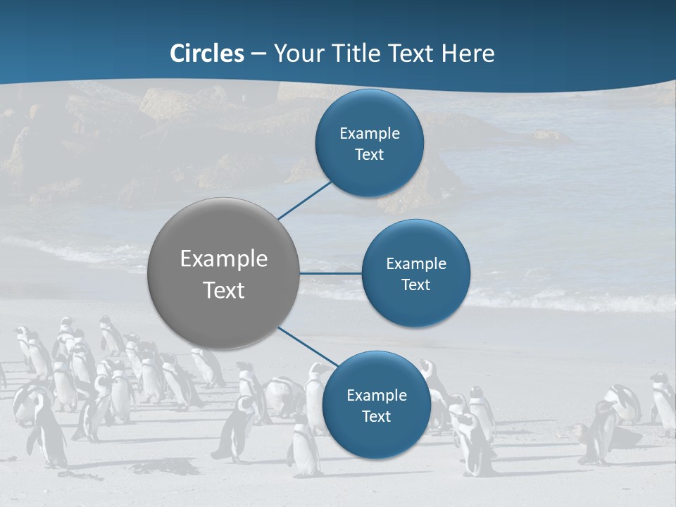 Swim Sun Sunrise PowerPoint Template