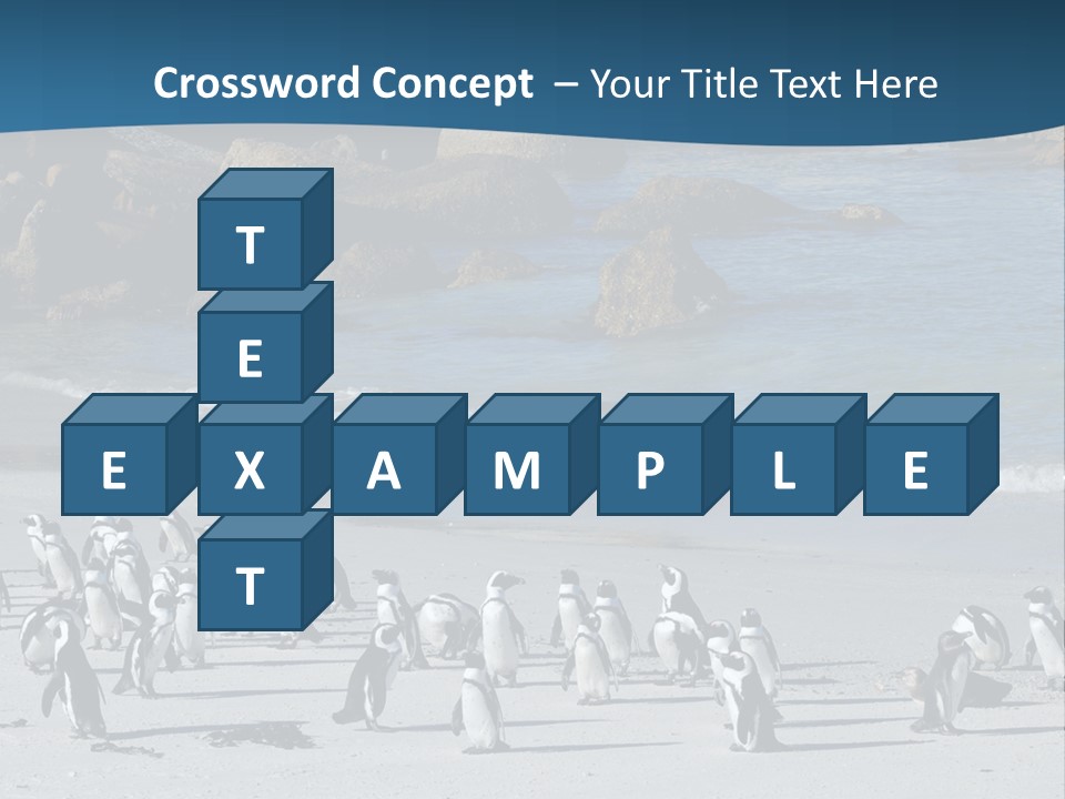 Swim Sun Sunrise PowerPoint Template