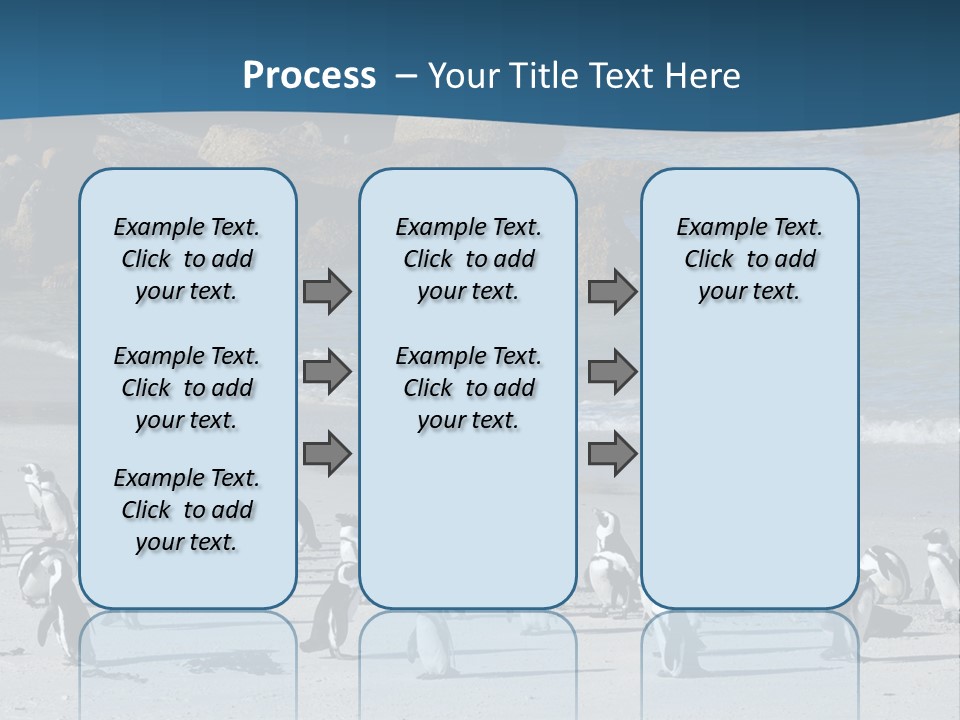 Swim Sun Sunrise PowerPoint Template