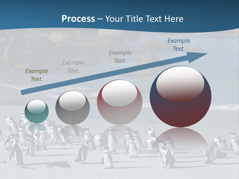 Swim Sun Sunrise PowerPoint Template
