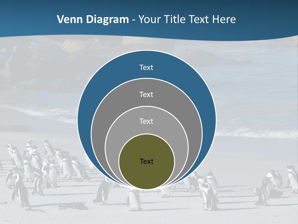 Swim Sun Sunrise PowerPoint Template