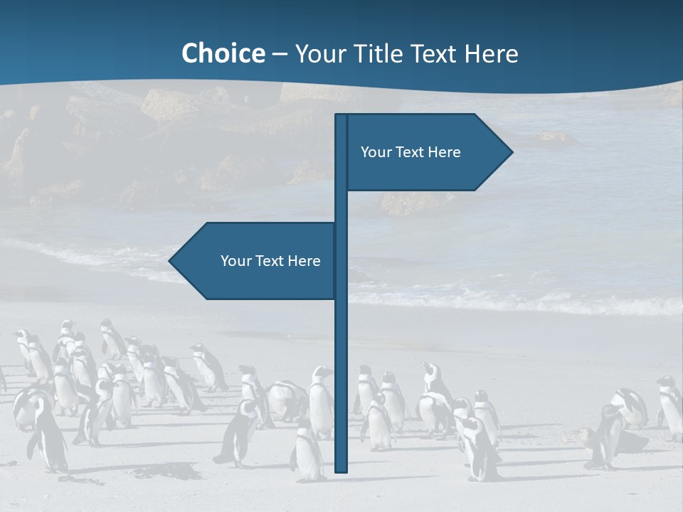 Swim Sun Sunrise PowerPoint Template