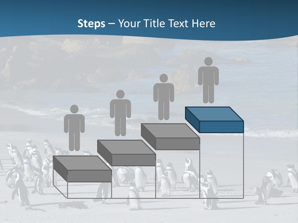 Swim Sun Sunrise PowerPoint Template
